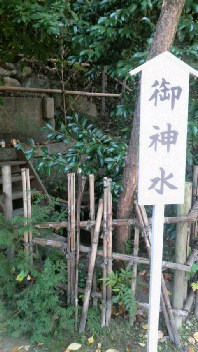 11月8日　廣田の杜