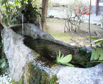 京都。糺の森～河合神社