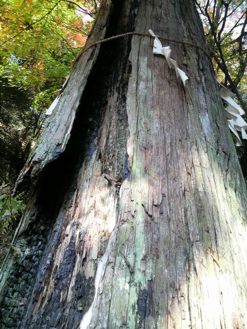 日吉大社　2009.