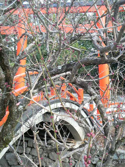京都。下鴨神社御手洗社前