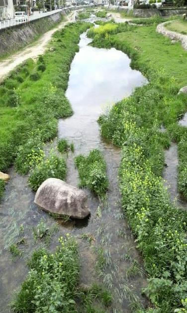 2009/04/15 　今日の仁川。