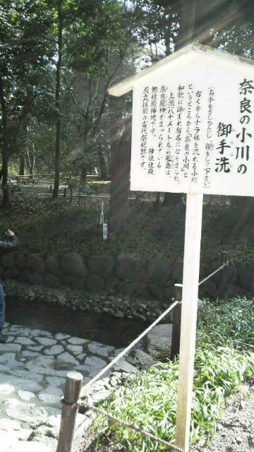 京都。～糺の森～