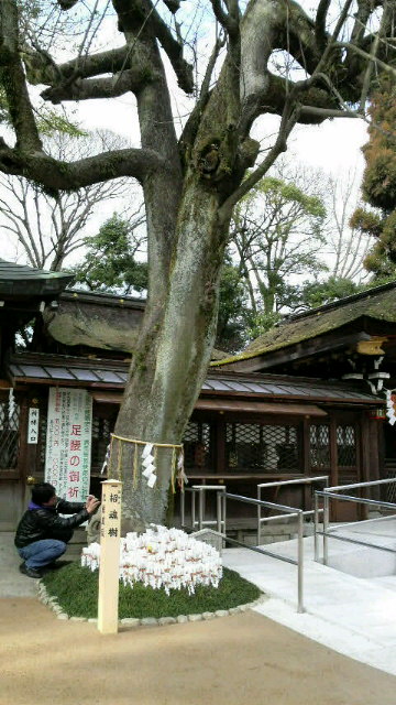京都　 護王神社