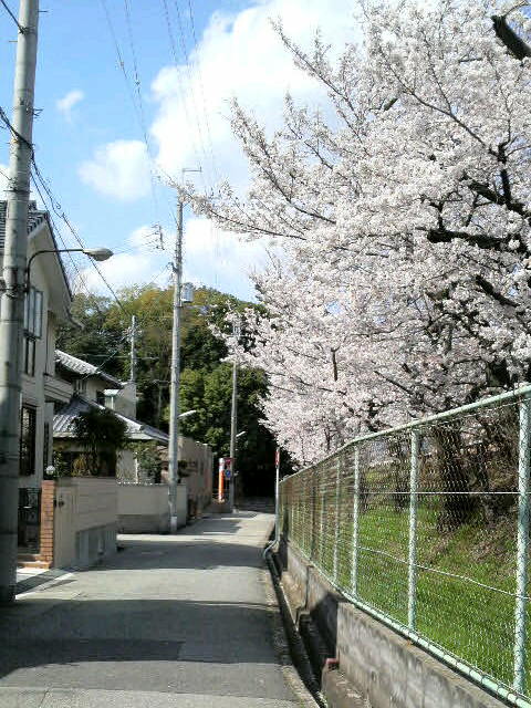 仁川沿線　宝塚熊野神社