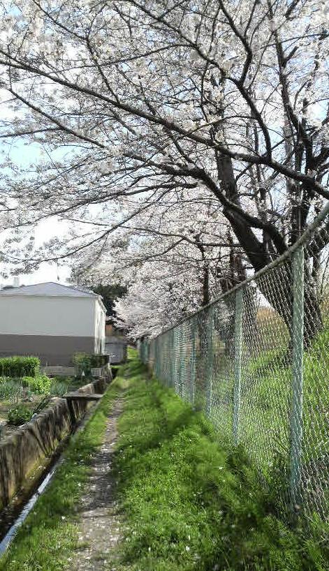 仁川沿線　宝塚熊野神社