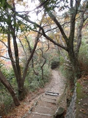 夫が子供のころ整備されたそうですが一段がきつくて。
