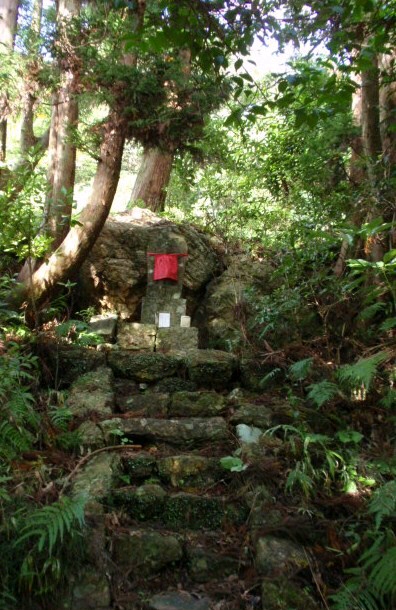 高知牧 野植物園