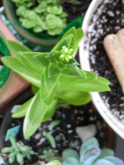 近所27 ベランダ