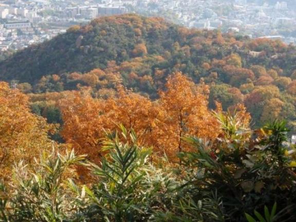 もうすぐ山頂。