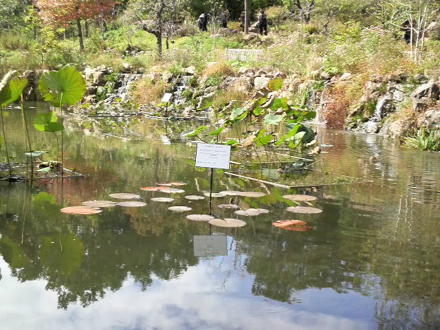 高知牧 野植物園