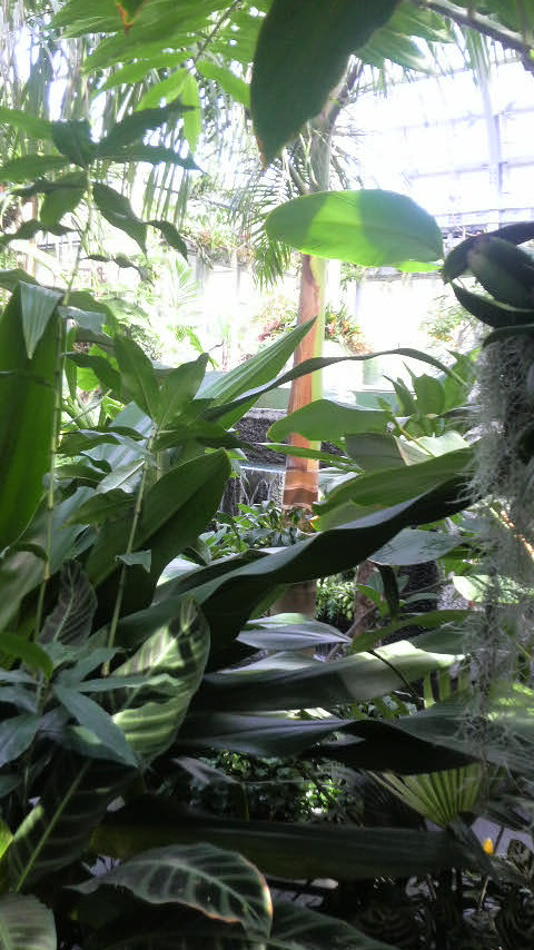 高知牧 野植物園
