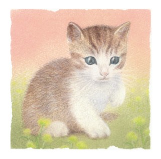 子猫（パステルと色鉛筆） | ☆Atelier de couleurs☆パステルアート