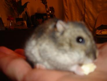 まりちゃん 001.jpg