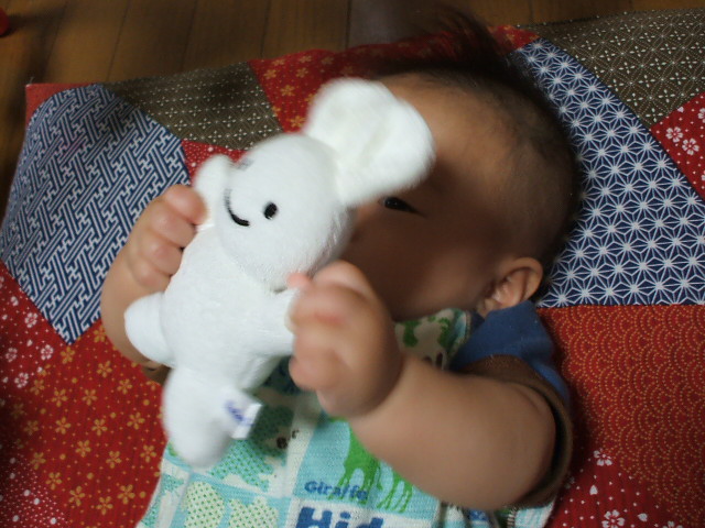DSCF1081.JPG