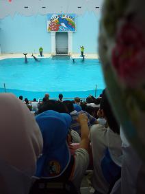 P1180495.jpg