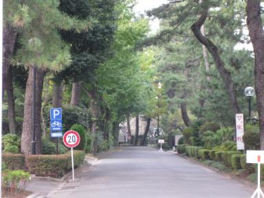 構内の道路