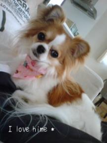 20080518144422.jpg