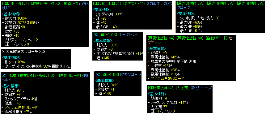 300WIZ装備.gif