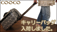 cooco_225carry.jpg
