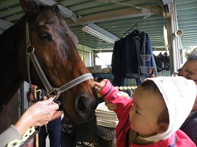 麗慈、馬に乗るの巻