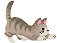 cat09-1.gif