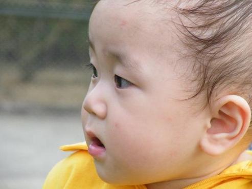 初めてのリスに