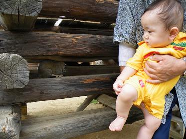 お爺ちゃんに抱っこされて