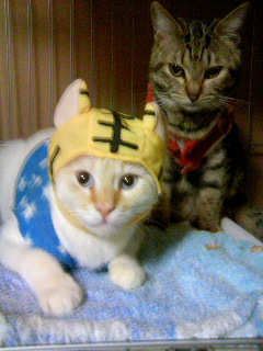 てっちゃん＆はっちゃん