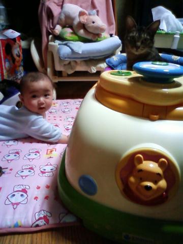 あれ？小夏が乗るの！