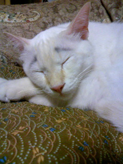 もう寝るわ・・・