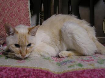 2008.3.20　はっちゃん