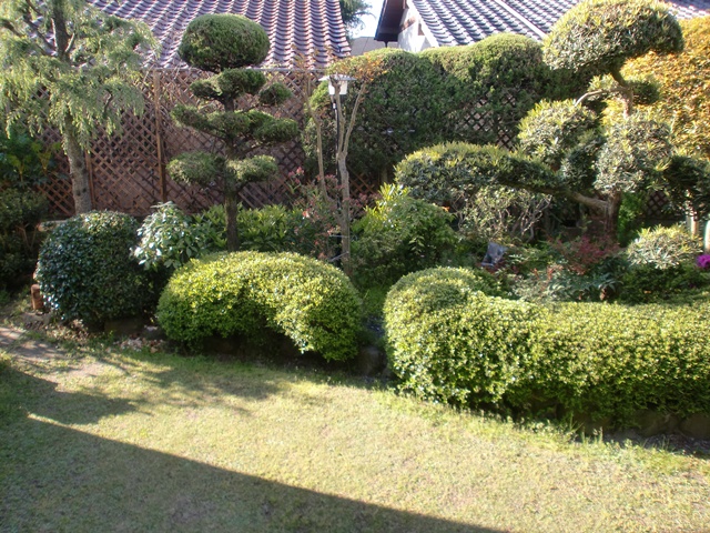 My Garden-3