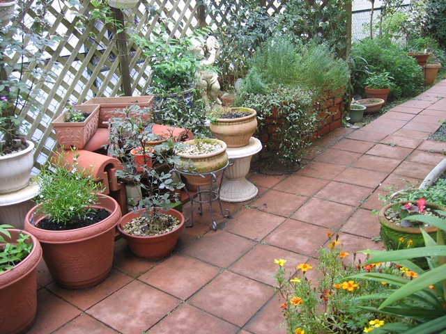 PATIO 10