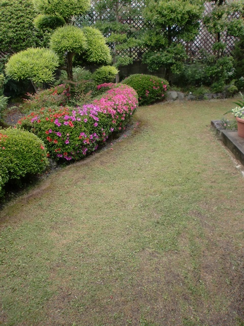 雨の庭園（２）