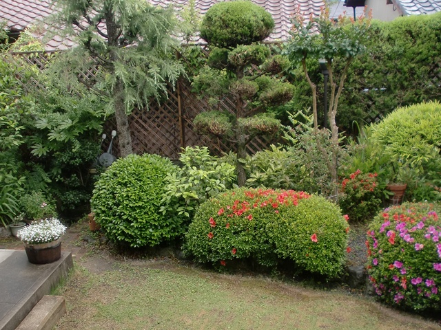 雨の庭園（５）