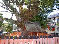 社家の町並み３.JPG