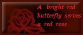 赤薔薇に仕えし紅の蝶