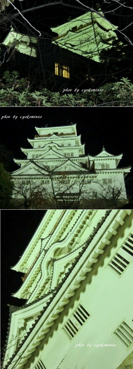 2010.11城.jpg