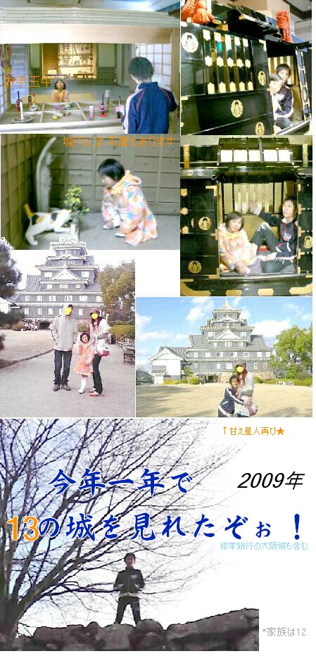 2009.1220.phot.. okayamajyou.JPG