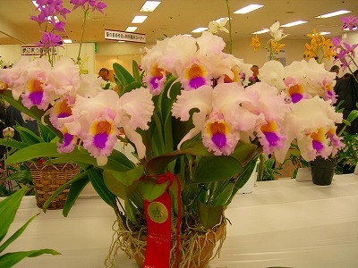 DSCN3568.jpg