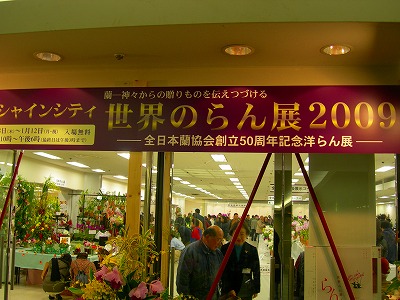 DSCN3619.jpg