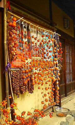 重要文化財　馬場家