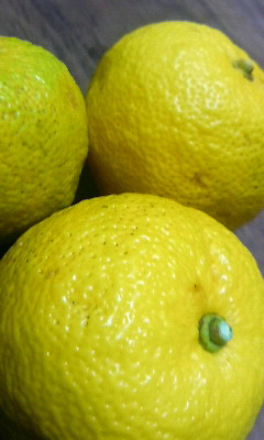 ダイスキ♪　ゆず