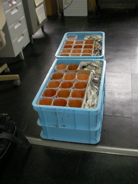 SANY0233.JPG