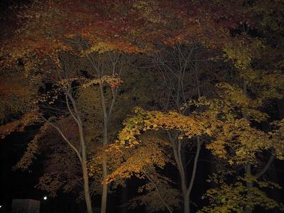 秩父宮記念公園