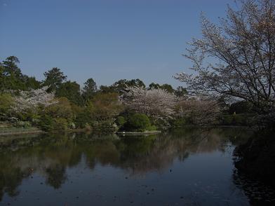 鏡池