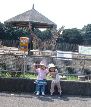 200609213.jpg