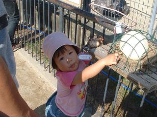 200610155.jpg