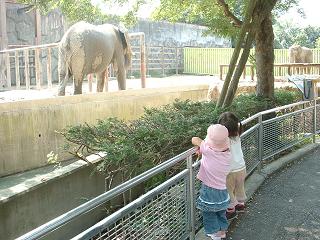 200609214.jpg