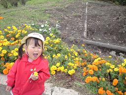 200711142.jpg